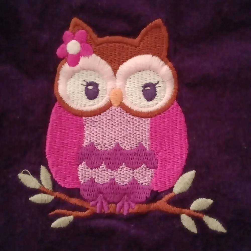 Gymboree Girls and Toddler Embroidered Sleeveless Skirtall Jumpers. Size 12